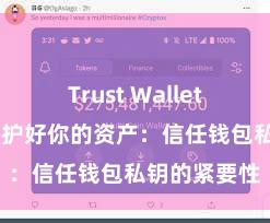 Trust Wallet官方下载 保护好你的资产：信任钱包私钥的紧要性