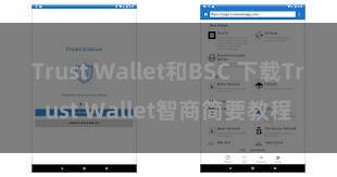 Trust Wallet和BSC 下载Trust Wallet智商简要教程