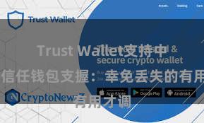 Trust Wallet支持中文吗 信任钱包支握：幸免丢失的有用才调